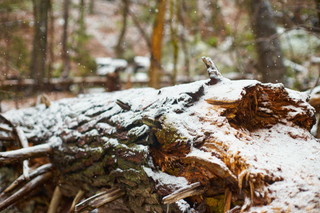 Illustration for article titled Photo Mission Gallery: Snowy Landscape